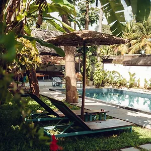 Paddlecult Surf Retreat Bed & Breakfast